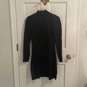 Zara sweater dress